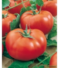 Graines de Tomate Fournaise F1