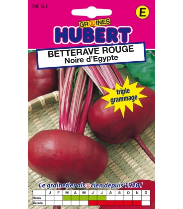 Graines de Betterave noire d'Egypte Format ECO Graines de Betterave noire d'Egypte Format ECO