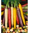 Carottes Arlequin Mix