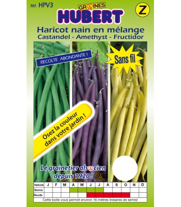Haricot en m&eacute;lange Castandel - Amethyst - Fructidor