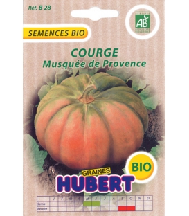 Graines de Courge Musquée de Provence BIO