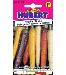 Collection de légumes "Couleur Mix"
