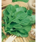 Disque Présemé d'un Mélange de Graines Aromatiques - Persil frisé - Basilic - Ciboulette - Roquette - Aneth