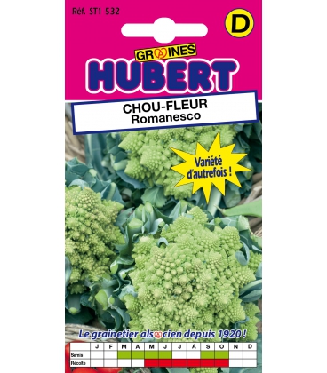 Chou-Fleur Romanesco