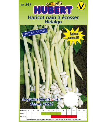 Haricot Hidalgo Nain &agrave; Ecosser
