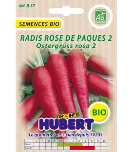 Radis Rose de Pâques 2 - Ostergruss Rosa 2 BIO