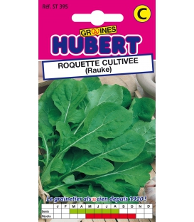 Graines de Roquette Cultivée (Rauke)