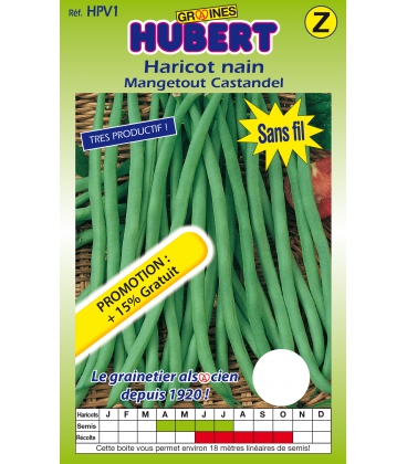 Haricot Castandel Nain Format ECO