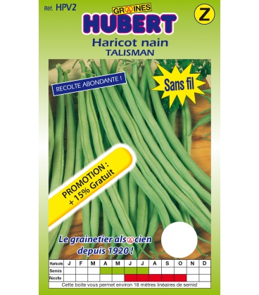 Haricot Talisman ECO