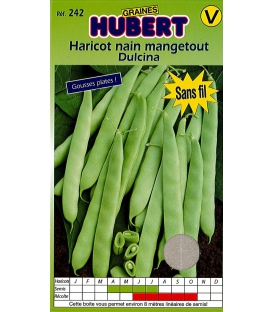 Graines de Haricot nain mangetout Dulcina