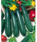 Graines de Courgette Baccara F1