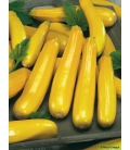 Graines de Courgette jaune Soleil F1