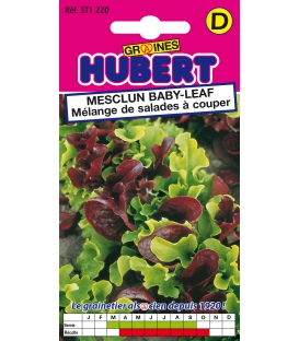 Graines de Mesclun Baby-leaf 