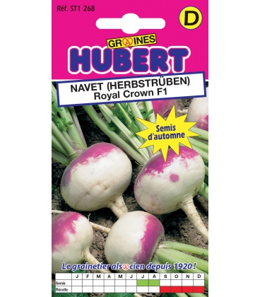 Navet Royal Crown F1 "Herbstr&uuml;ben"
