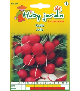 Graines de Radis Jolly