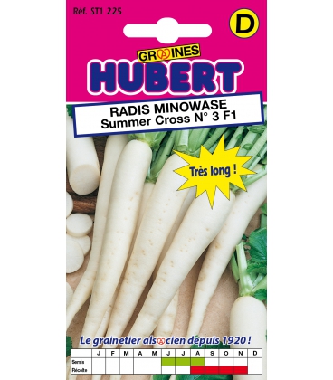 Radis Minowase Summer Cross n&deg;3 F1