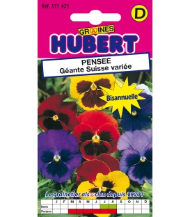 Pensée Géante Suisse Variée