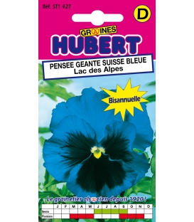Graines de Pensée Géante Suisse Bleue Lac des Alpes