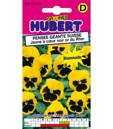 Pens&eacute;e G&eacute;ante Suisse Jaune &agrave; Coeur Noir Or du Rhin