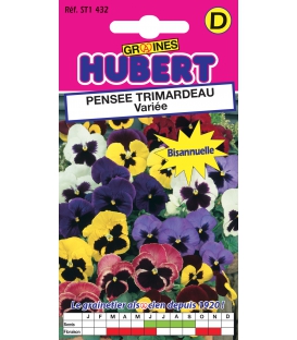 Pensée Trimardeau Géante Variée