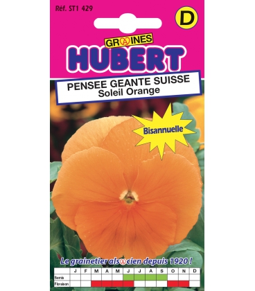 Pens&eacute;e G&eacute;ante Suisse Soleil Orange