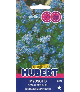 Graines de Myosotis des Alpes Bleu