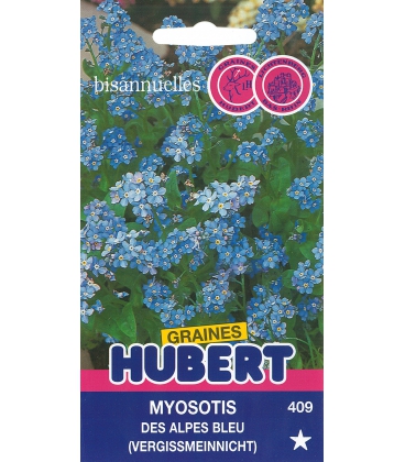 Graines de Myosotis des Alpes Bleu