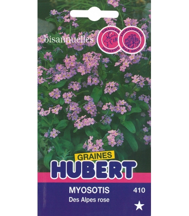 Graines de Myosotis des Alpes Rose