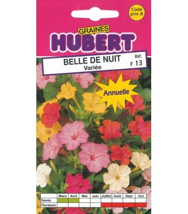 Belle de Nuit Vari&eacute;e