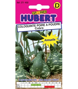 Coloquinte Poire &agrave; Poudre Cobra &copy; Image prot&eacute;g&eacute;e t&eacute;l&eacute;chargement interdit !