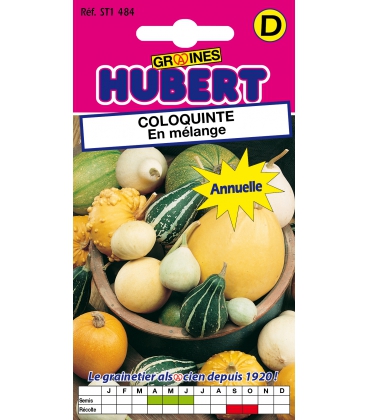 Coloquinte en M&eacute;lange