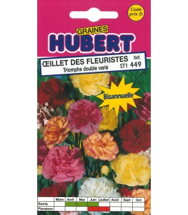 Graines d'Oeillet des Fleuristes Triomphe Double Varié