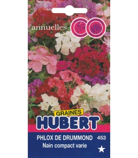 Graines de Phlox de Drummond Varié