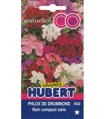 Graines de Phlox de Drummond Varié