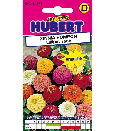 Zinnia Pompon Lilliput Double Vari&eacute;
