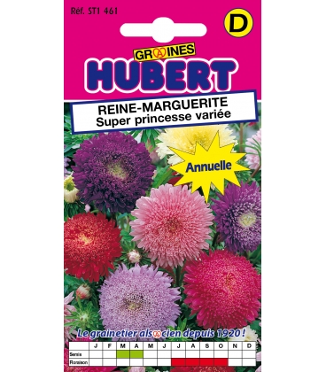 Reine Marguerite Super Princesse Vari&eacute;e