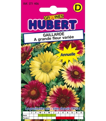 Gaillarde Peinte Vari&eacute;e