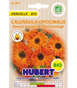 Graines de Soucis Double Calendula Officinalis Orange - © Image protégée téléchargement interdit !
