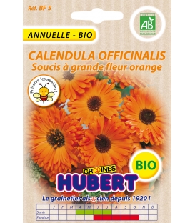 Graines de Soucis Double Calendula Officinalis Orange - © Image protégée téléchargement interdit !