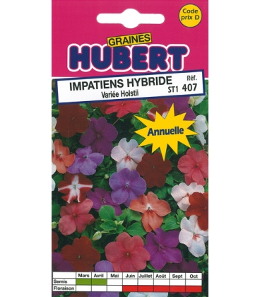 Impatiens Hybride Vari&eacute;e Holstii