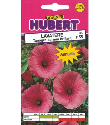 Lavat&egrave;re Tanagra Carmin Brillant