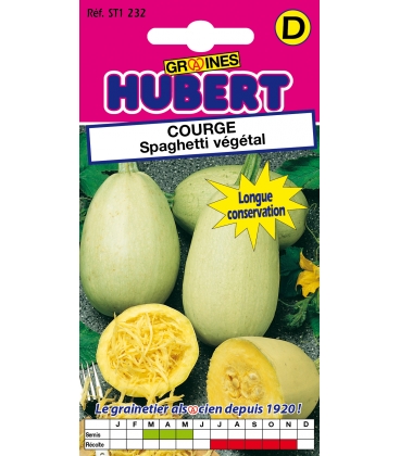 Courge Spaghetti V&eacute;g&eacute;tal