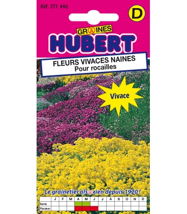 Fleurs Vivaces Naines Pour Rocailles