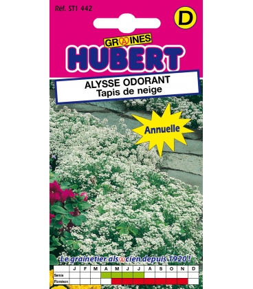 Alysse Odorant Tapis de Neige