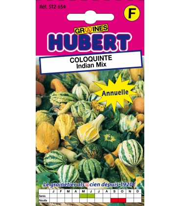 Coloquinte Indian Mix