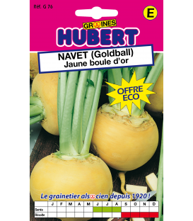 Graines de Navet Jaune Boule d'or - Golball Format ECO