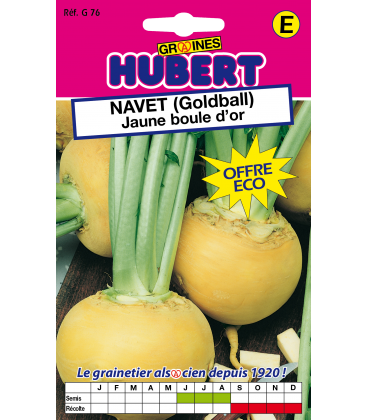 Graines de Navet Jaune Boule d'or - Golball Format ECO