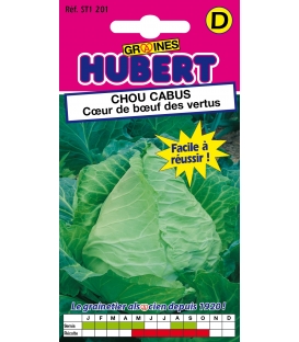 Graines de Courgette verte noire maraichere BIO : achat/vente