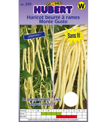 Haricot Monte Gusto Beurre &agrave; Rames