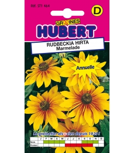 Graines de Rudbeckia Marmalade